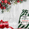 Load image into Gallery viewer, Santa Sacks, Personalized with name Pinks Tee's & Things