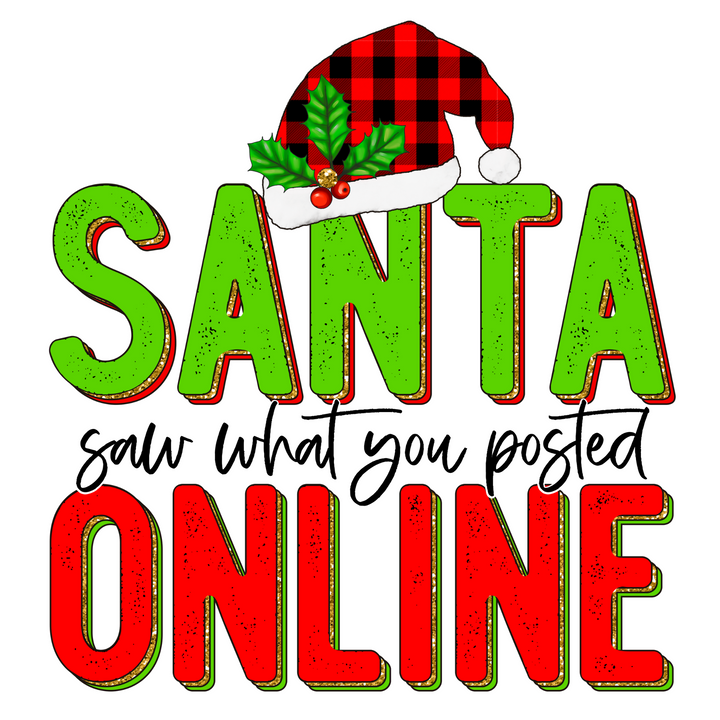 Santa Saw What You Posted Online Direct to Film (DTF) Transfer Pinks Tee's & Things