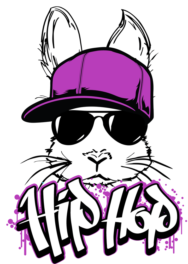 Hip Hop Bunny V6 Transfer (Youth) Pinks Tee's & Things