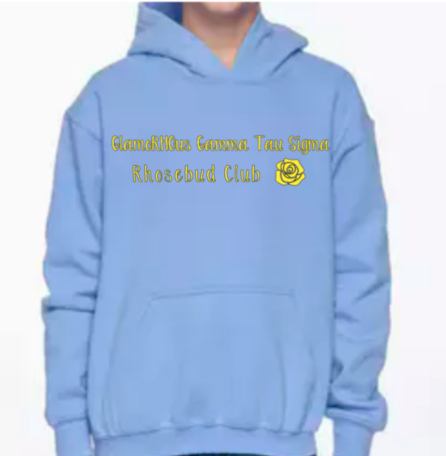 Blank Hooded Sweatshirt (Unisex) Pinks Tee's & Things